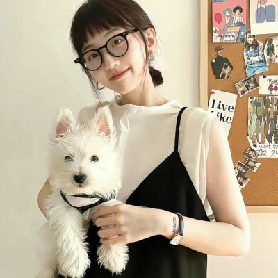 南风知我意电视剧海报